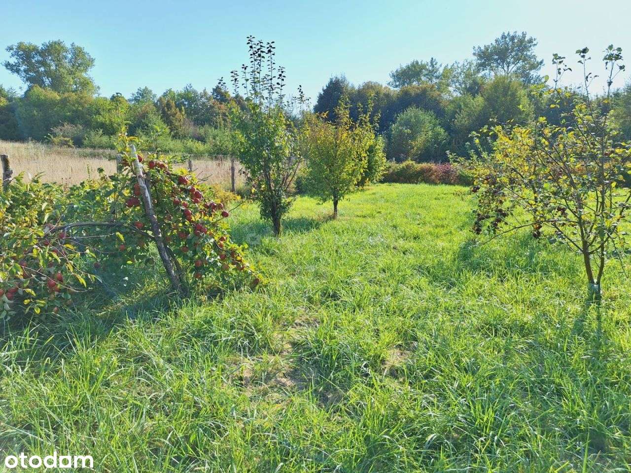 Okazja! Działka z warunkami zabudowy blisko morza - Pełny obrazek: 5/8