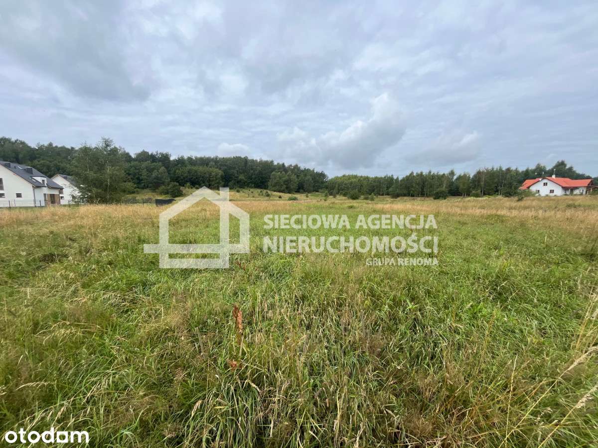 Sitno, działka w odległości 200 m od jeziora. - Pełny obrazek: 1/5