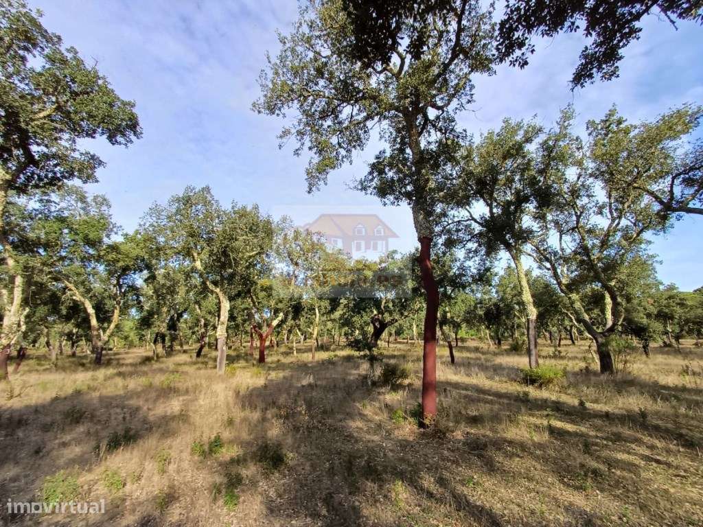 Herdade com montado de sobro de excelência em Grândola!-6