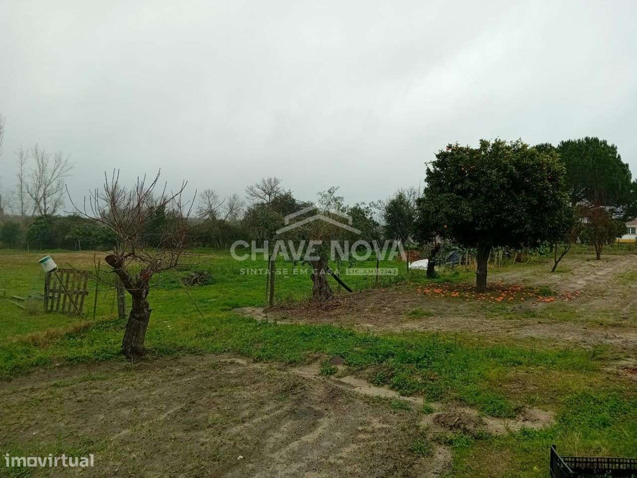 Uma verdadeira oportunidade, uma casa com 1,5 hectares de terreno.-16