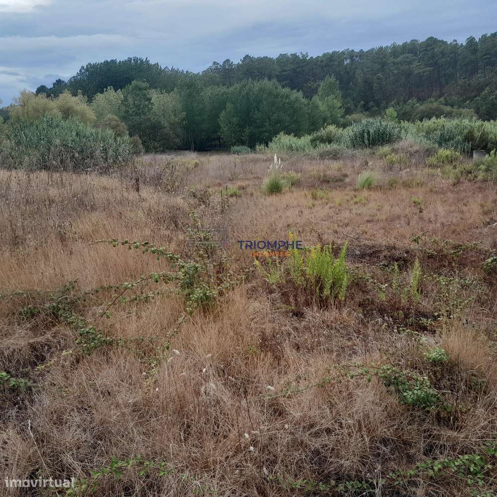 Terreno Urbano área 5.605 M² Amor, Leiria - Grande imagem: 3/13