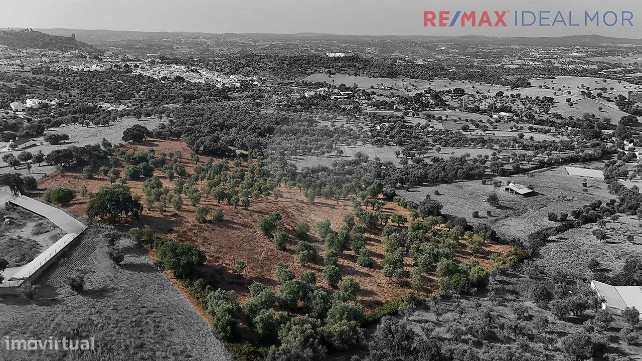 Quinta  para venda - Grande imagem: 2/9