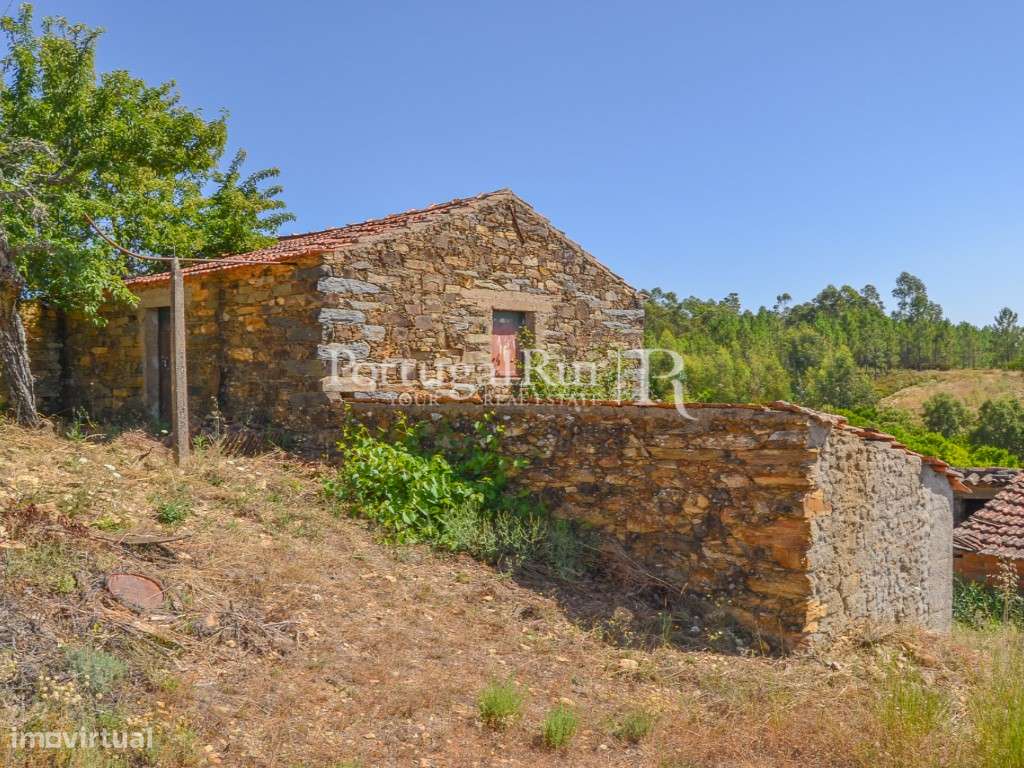 Quintinha com 4 hectares e 2 construções em aldeia da Beira Baixa - Grande imagem: 4/39