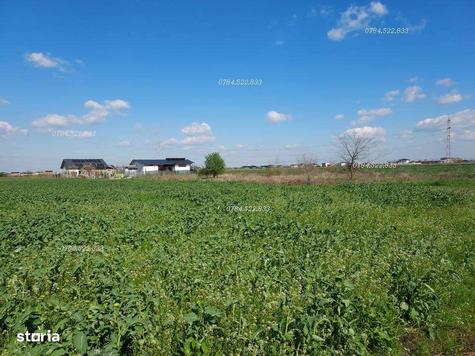 Teren intravilan 539 mp Berceni, Ilfov – RATE 36 luni, avans mic - Imagine principală: 5/6