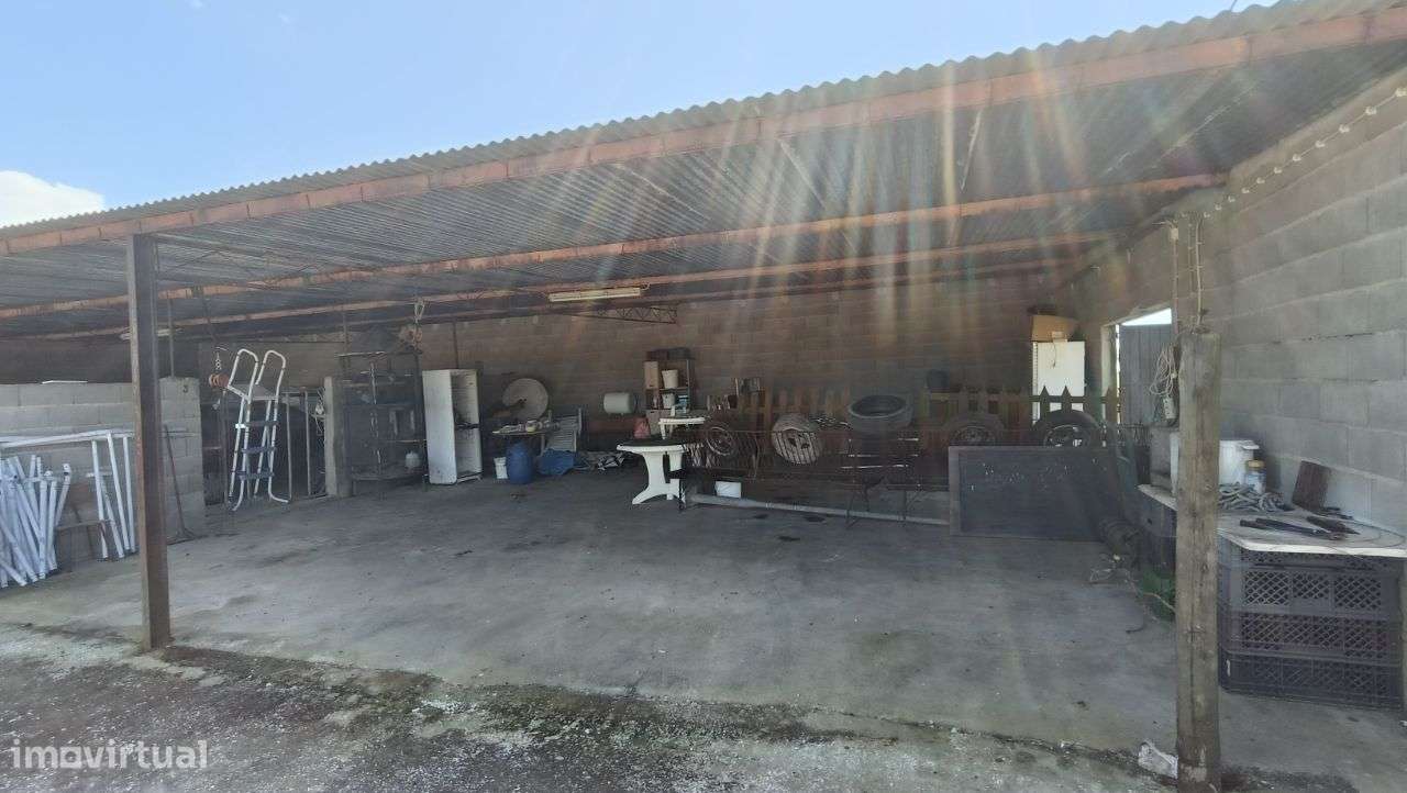 Quinta Pegões Velhos, junto á adega, com moradia e armazém lote 3,8 ha-47