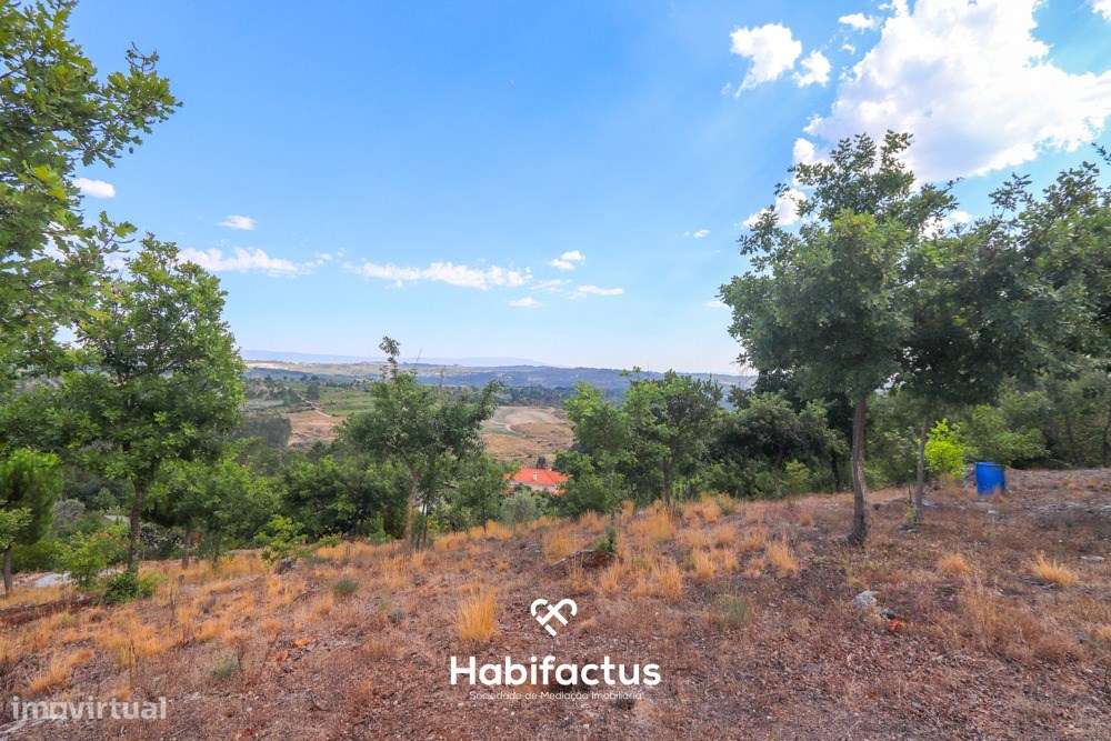 Lote de terreno urbano com 5003 m2 para venda em Santos Êvos-5