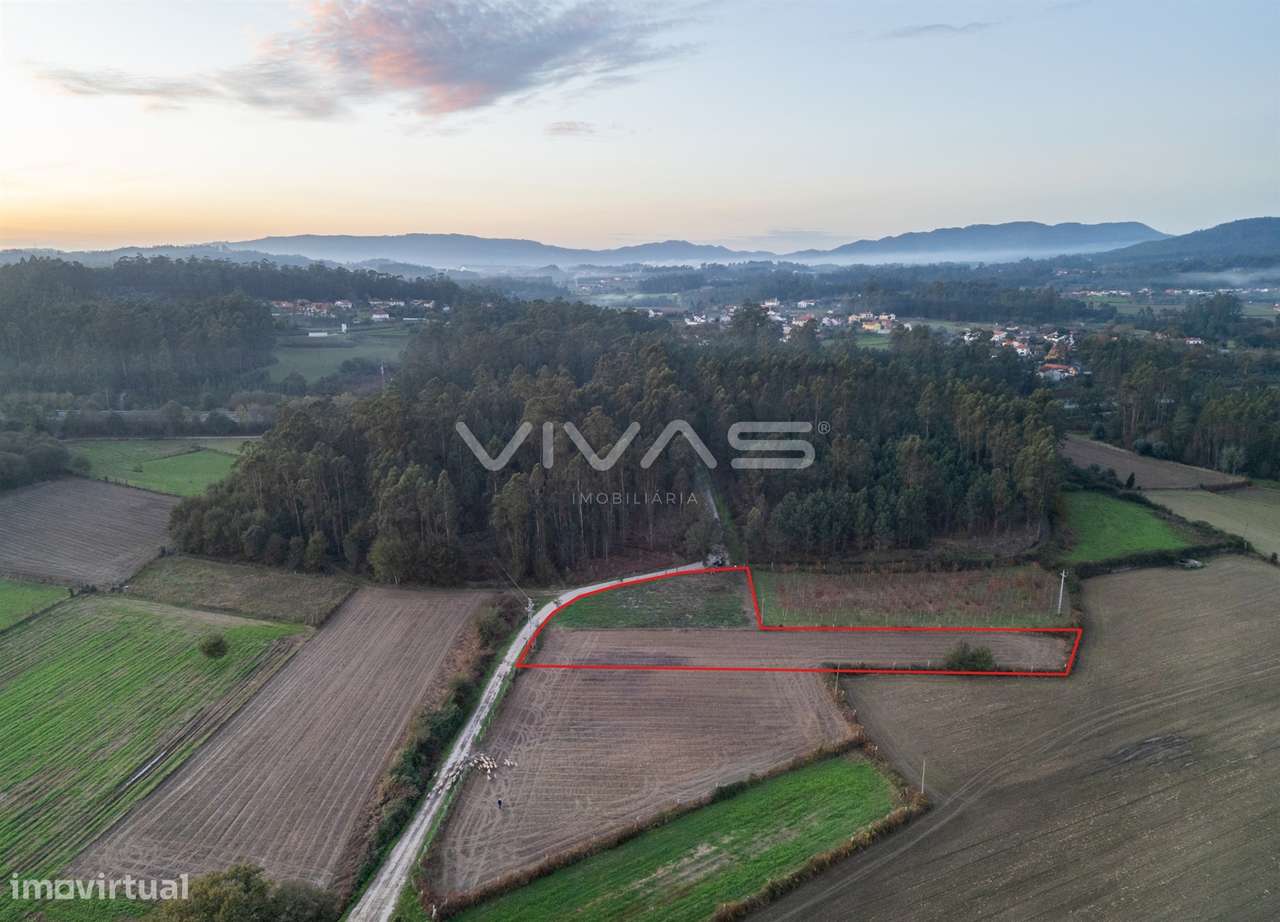 Terreno Rústico  Venda em Associação de freguesias do Vale do Neiva,Po - Grande imagem: 3/15