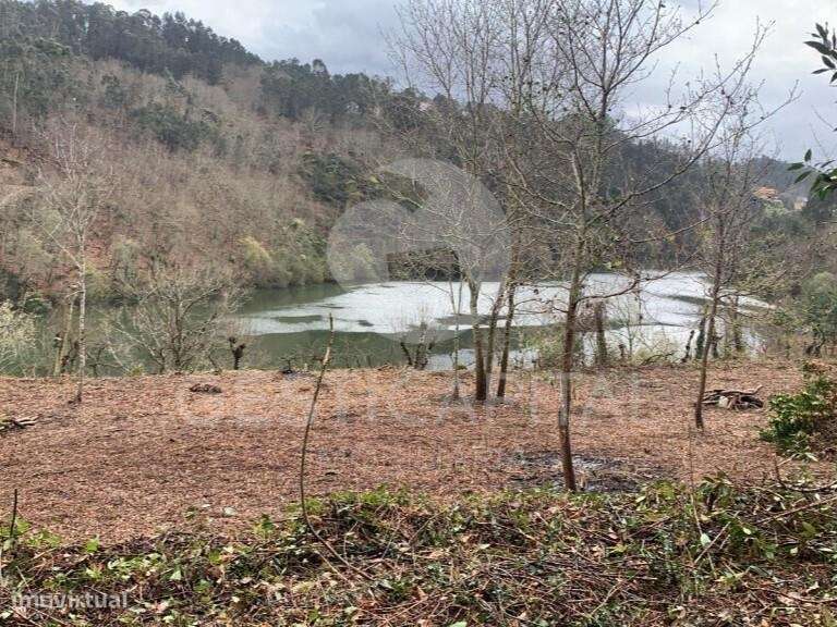 Quinta com frente rio em Santo Isidoro, Marco de Canaveses-12
