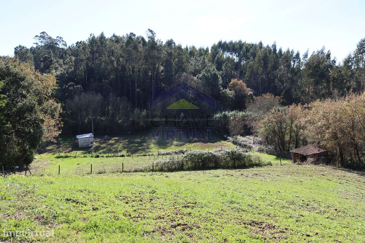 Magnífica Quinta c/ 10.490 m2 Concelho Cadaval-41