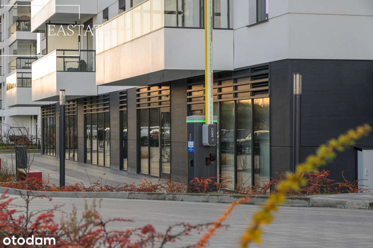 Lokal do wynajęcia idealny na gastronomię / usługi - Pełny obrazek: 3/9