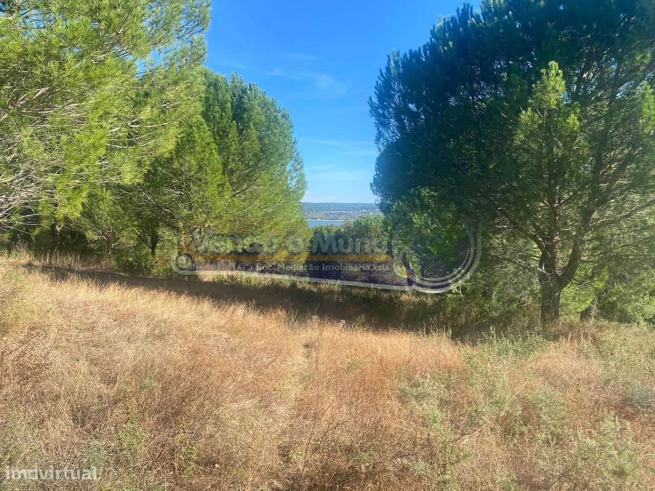 Terreno em Montargil (MTG002)-4