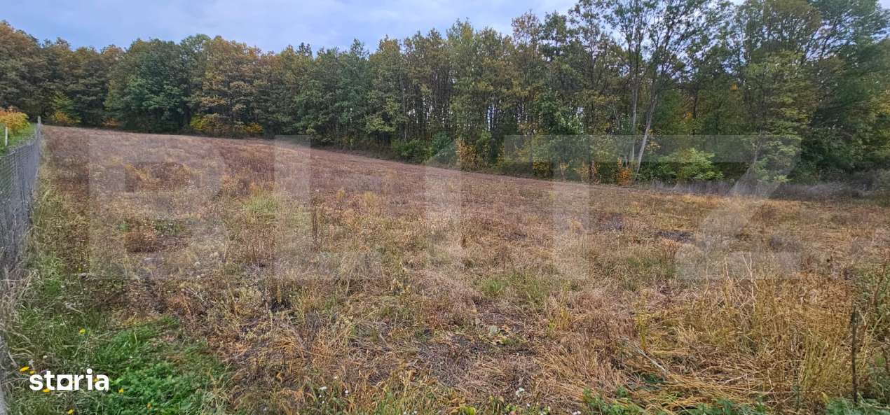 Teren intravilan parcelat - 2882 mp - Sat Bejan - Imagine principală: 3/4