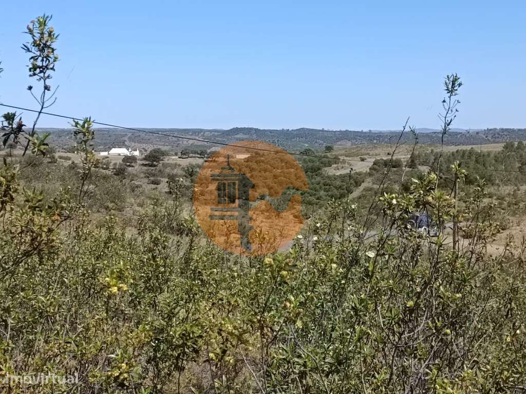 TERRENO COM 34.700 M2 - POSSIBILIDADES DE CONSTRUIR UM ARMAZEM - PR...-21