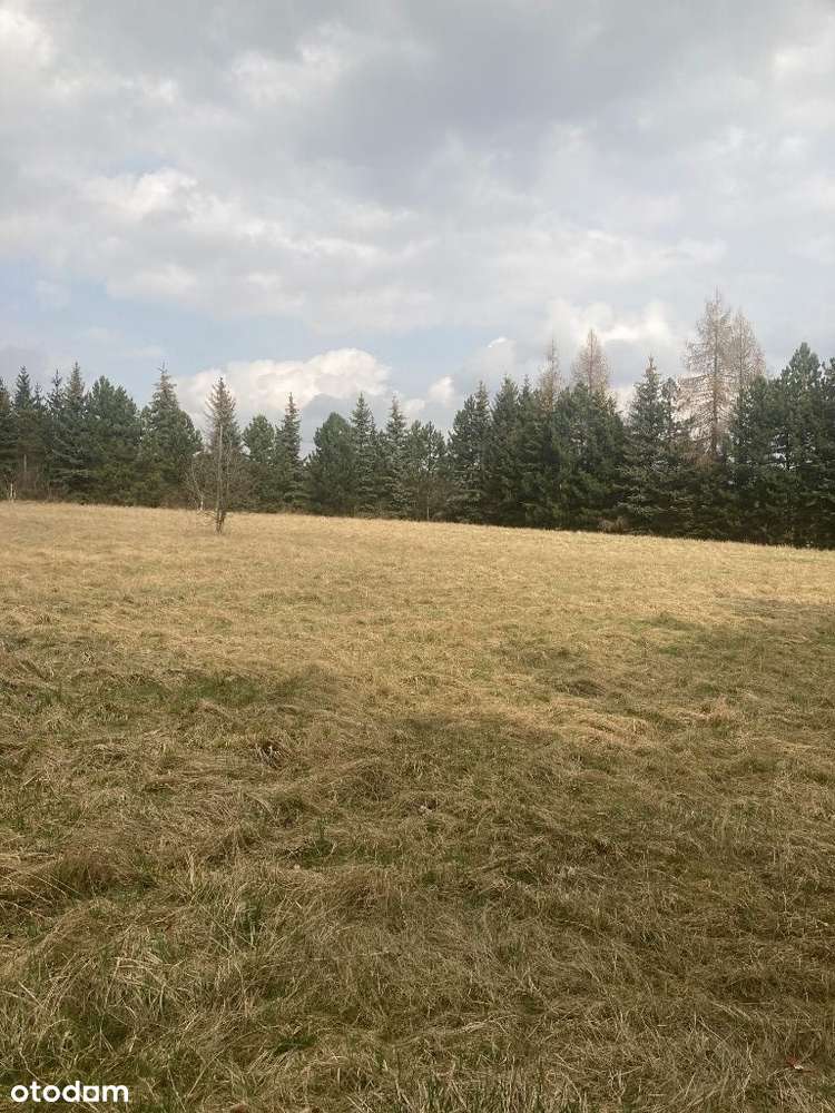 Polanica mieszkaj i zarabiaj-15