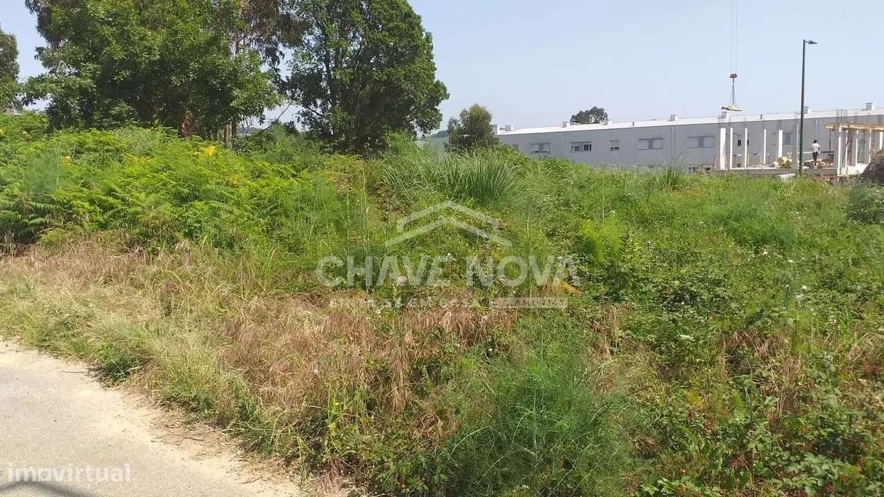 Lote para Moradia Isolada na Madalena-3