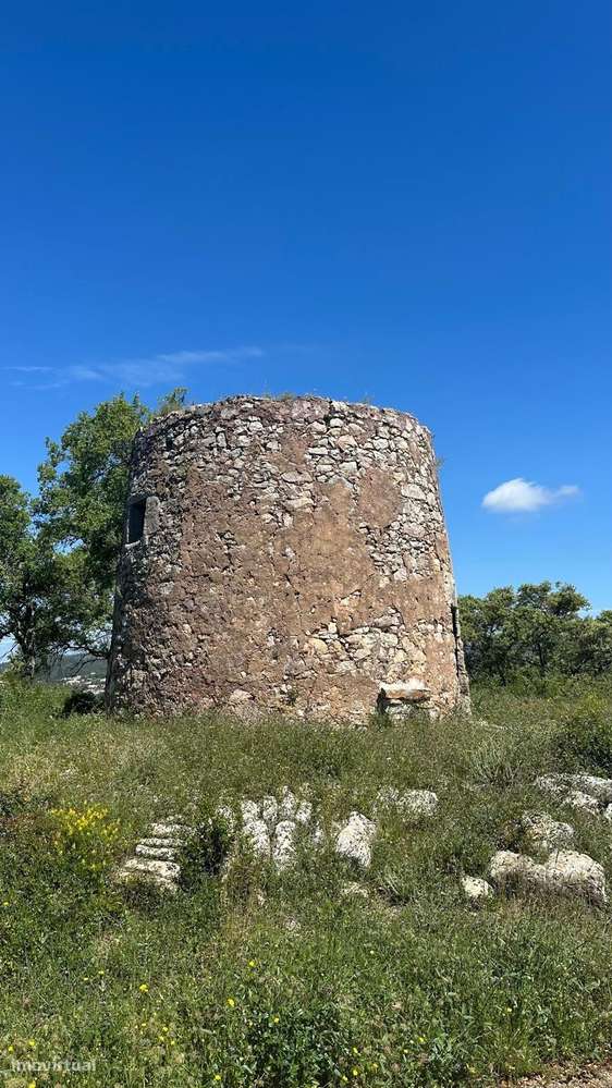 Ruina Moinho - Grande imagem: 3/20