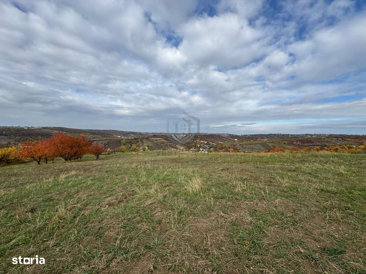 Teren intravilan Dealuri Oradea 3649 mp - Imagine principală: 2/4