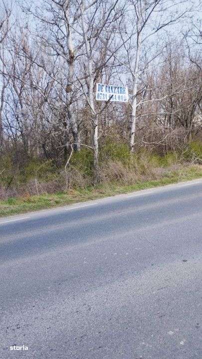 Teren intravilan 5.000 m² cu 40 m deschidere la DN2A – langa Kaufla - Imagine principală: 2/17