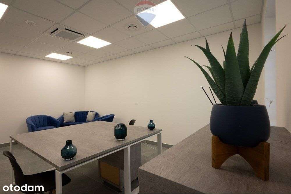 Parter+części wspólne w stylowej kamienicy - Pełny obrazek: 5/13