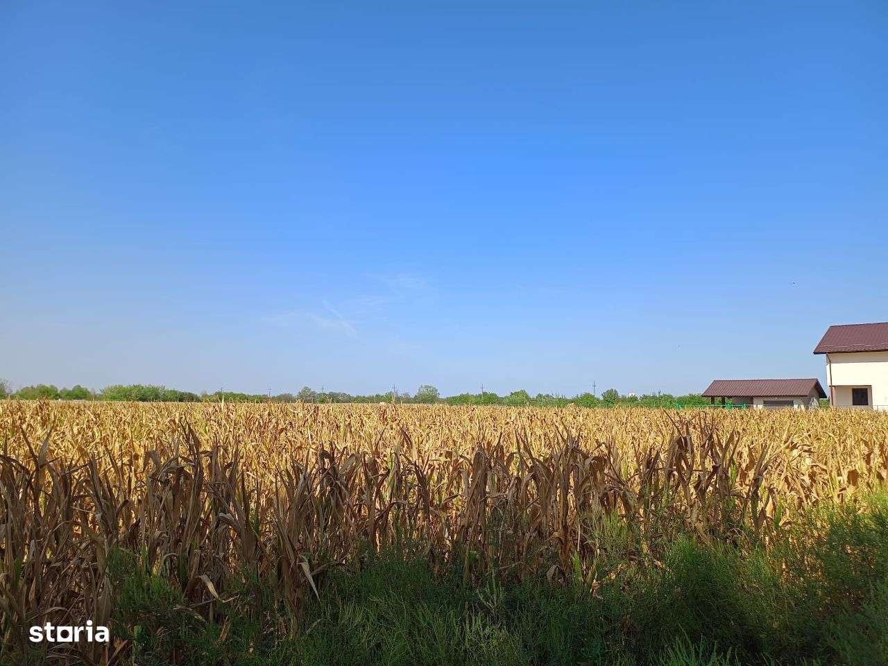 Teren de Vânzare 17.000 mp,Mihai Voda comuna Bolintin Deal-1