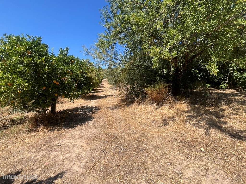 Quinta com duas casas, vistas para o mar e 11.940 m² de terreno em ...-29