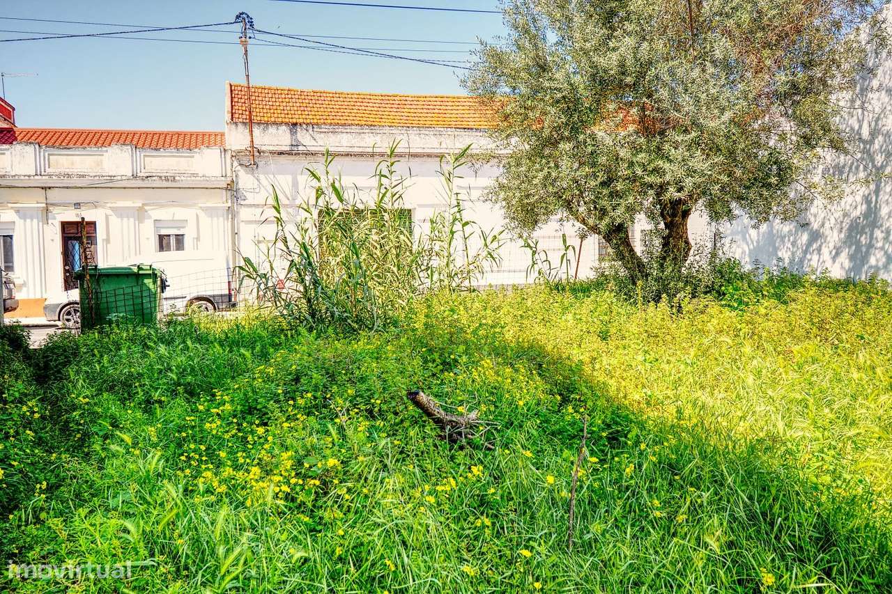 Terreno em Ermidas Sado-10
