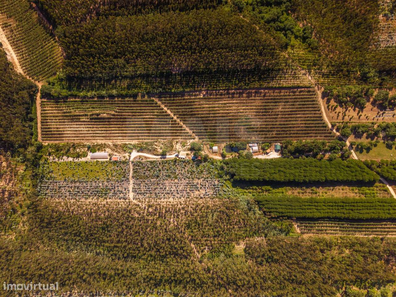 Terreno Agrícola na Fanadia | 16.100 m² de Potencial e Infraestrutu...-34