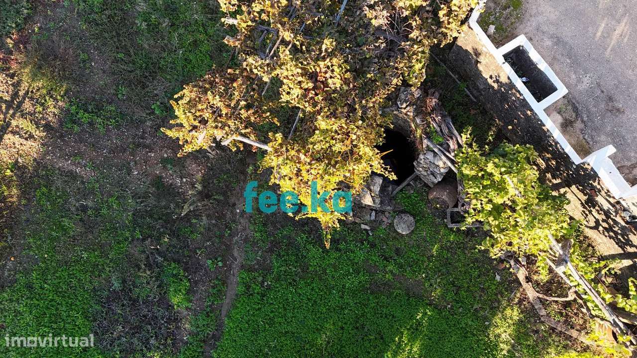 Terreno em Vale Figueira-16
