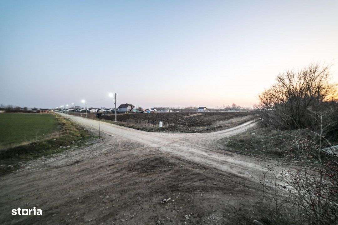 Teren 6000mp*Domnesti*Salciei-Haltei-Ciocarliei*Drum asfaltat cu utili - Imagine principală: 3/11