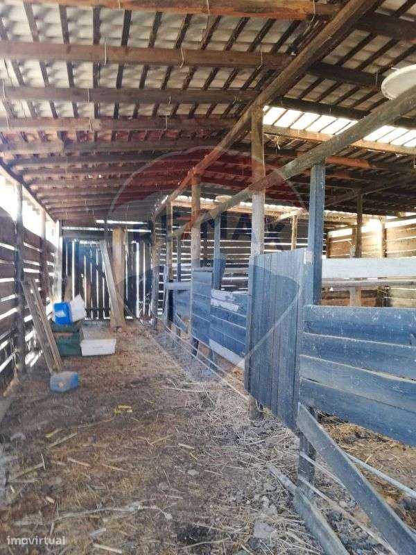 Moradia T3 para venda - Grande imagem: 4/15