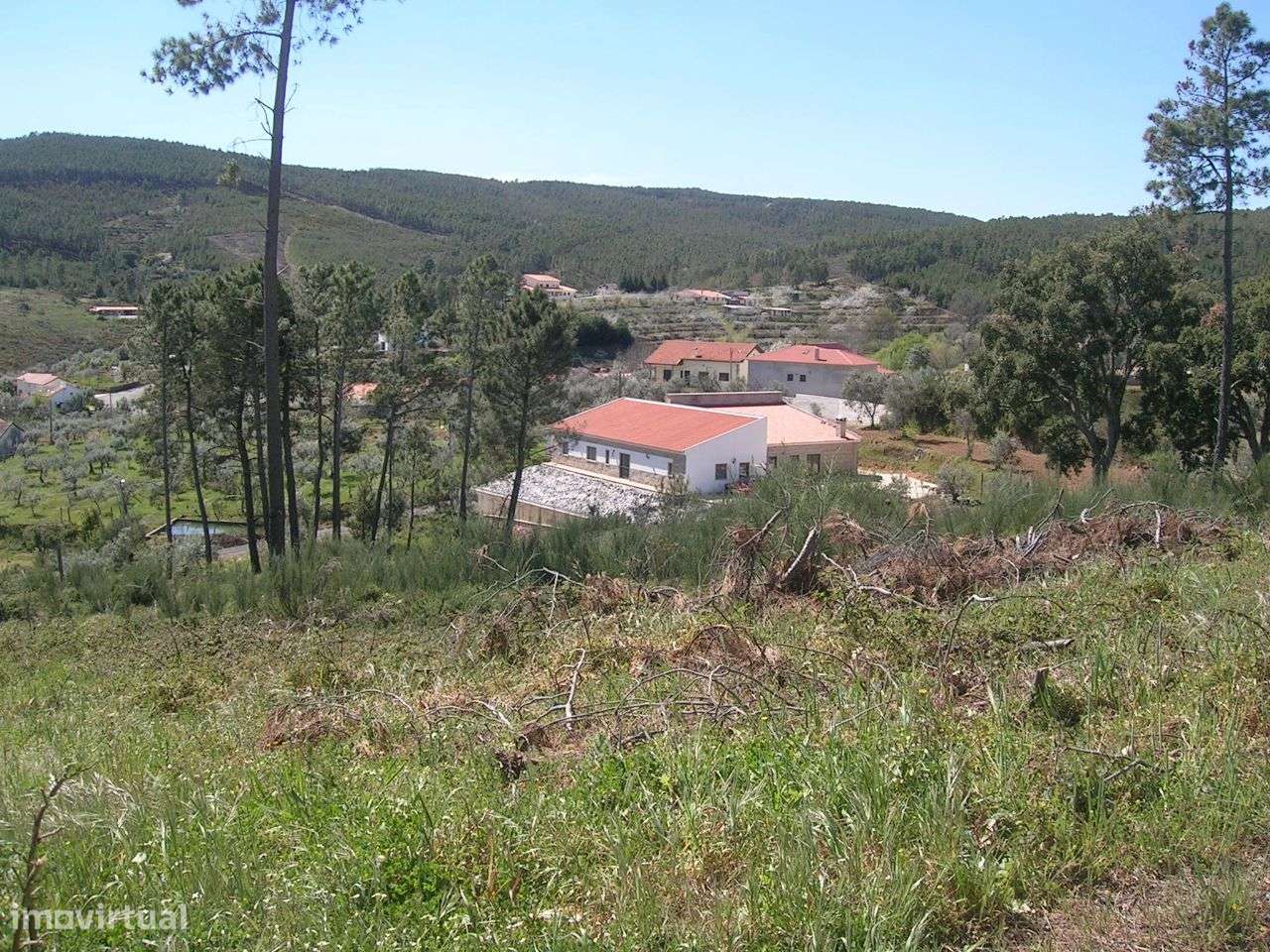 Terreno para a minha vivenda-6