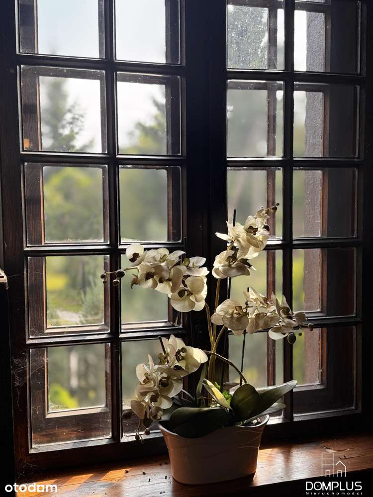 Gotowa  stadnina pod turystykę, rajdy , rekreacja. - Pełny obrazek: 4/20