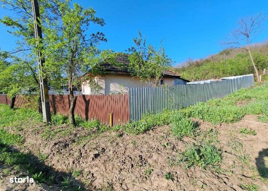 Casa si teren-com. Licurici, loc. Negreni, jud Gorj - Imagine principală: 3/4