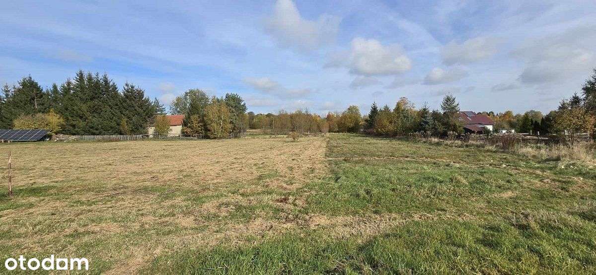 działka budowlana w Henrykowie Lubańskim - okazja - Pełny obrazek: 4/9