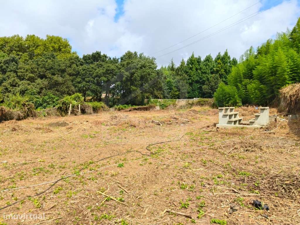 Moradia Isolada T3 em Santa Maria de Lamas - Grande imagem: 4/19