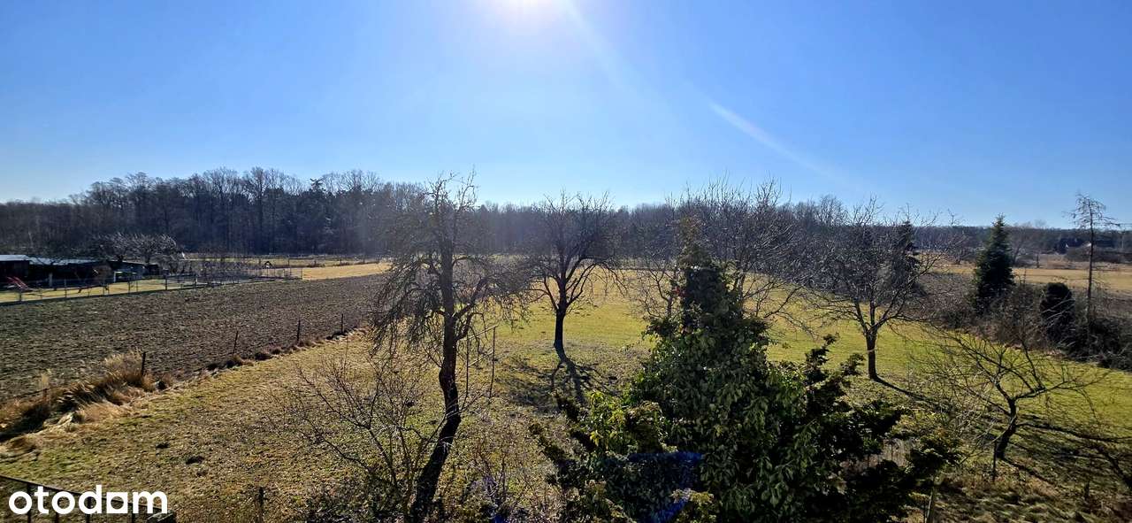 Jedyna taka okazja - dom na dużej działce po lasem !!!-3