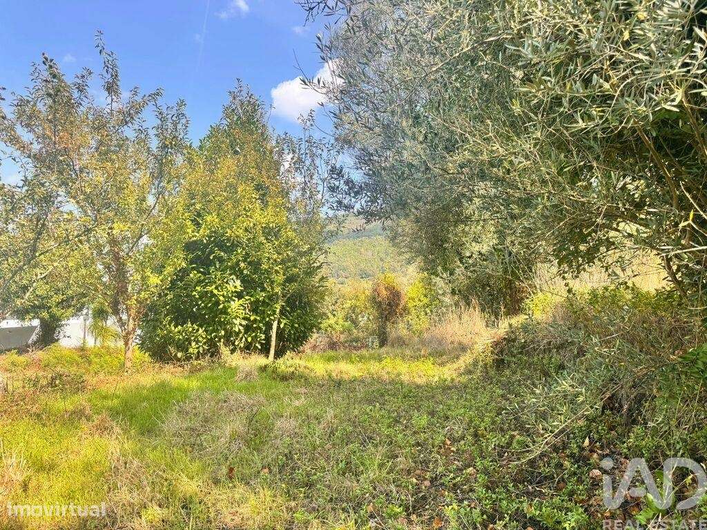 Terreno em Geraz Do Lima (Santa Maria, Santa Leocádia E Moreira) E Deã - Grande imagem: 3/6