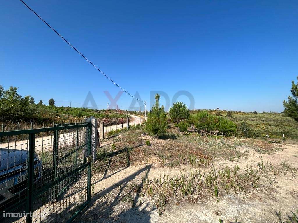 Terreno Rústico em Vale de Igreja. - Grande imagem: 4/23