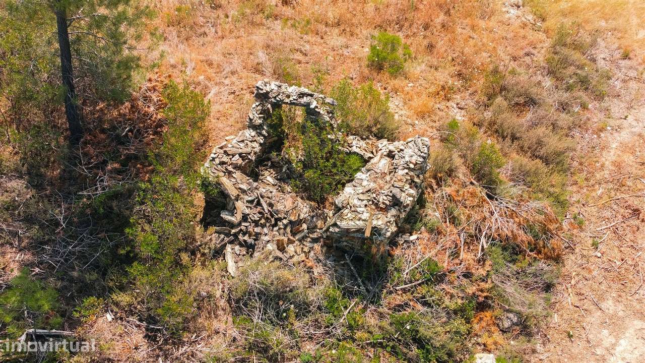 Quinta T0 Venda em Santo André das Tojeiras,Castelo Branco-6