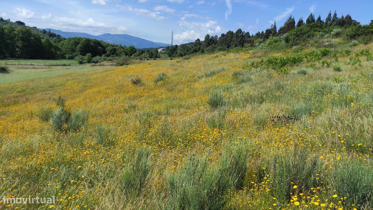 Quinta com Vista para a Serra da Estrela – Um Refúgio Natural-16