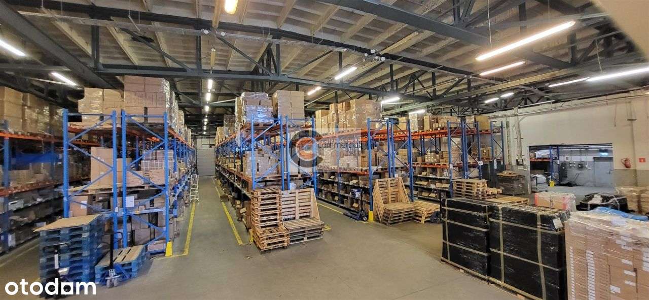 Hala magazynowo z placem składowym - Pełny obrazek: 5/13