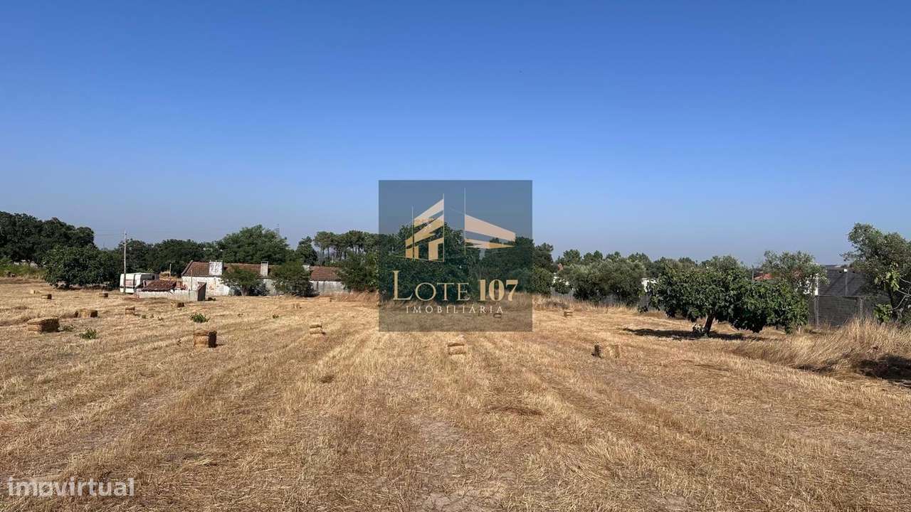 Quinta com 3 hectares de terreno no concelho da Moita - Grande imagem: 4/35