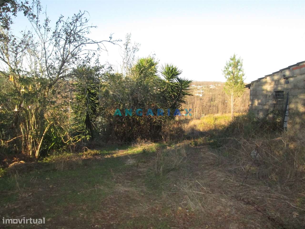 ANG930 - Terreno para Venda em Valongo, Colmeias - Grande imagem: 5/20