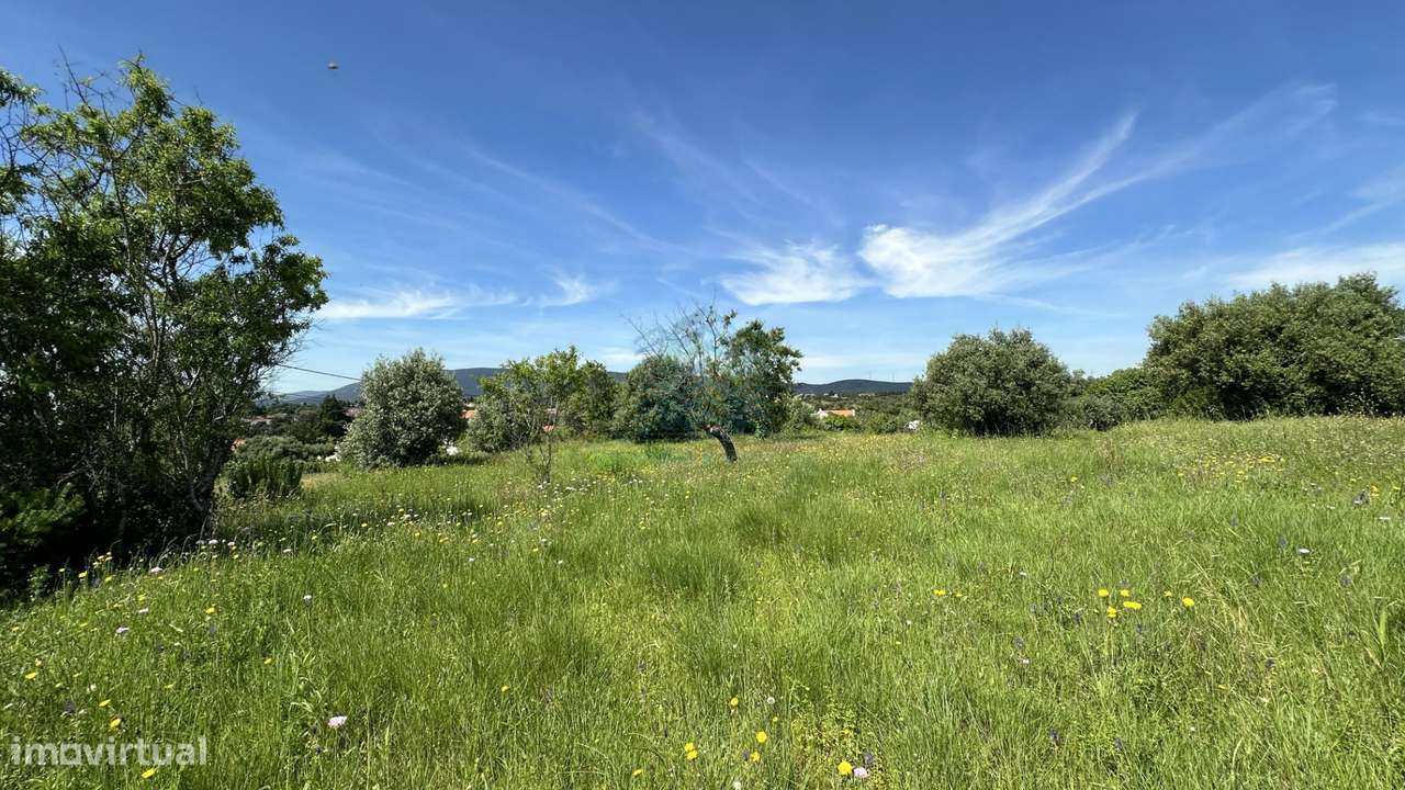 Terreno para construção de moradia , Rendufas, Torres Novas - Grande imagem: 5/24
