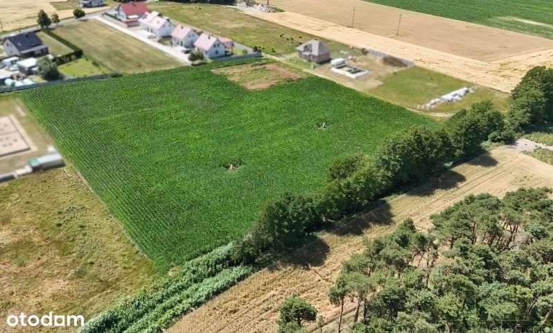 Siedlec – Atrakcyjne działki na nowym osiedlu. - Pełny obrazek: 5/5