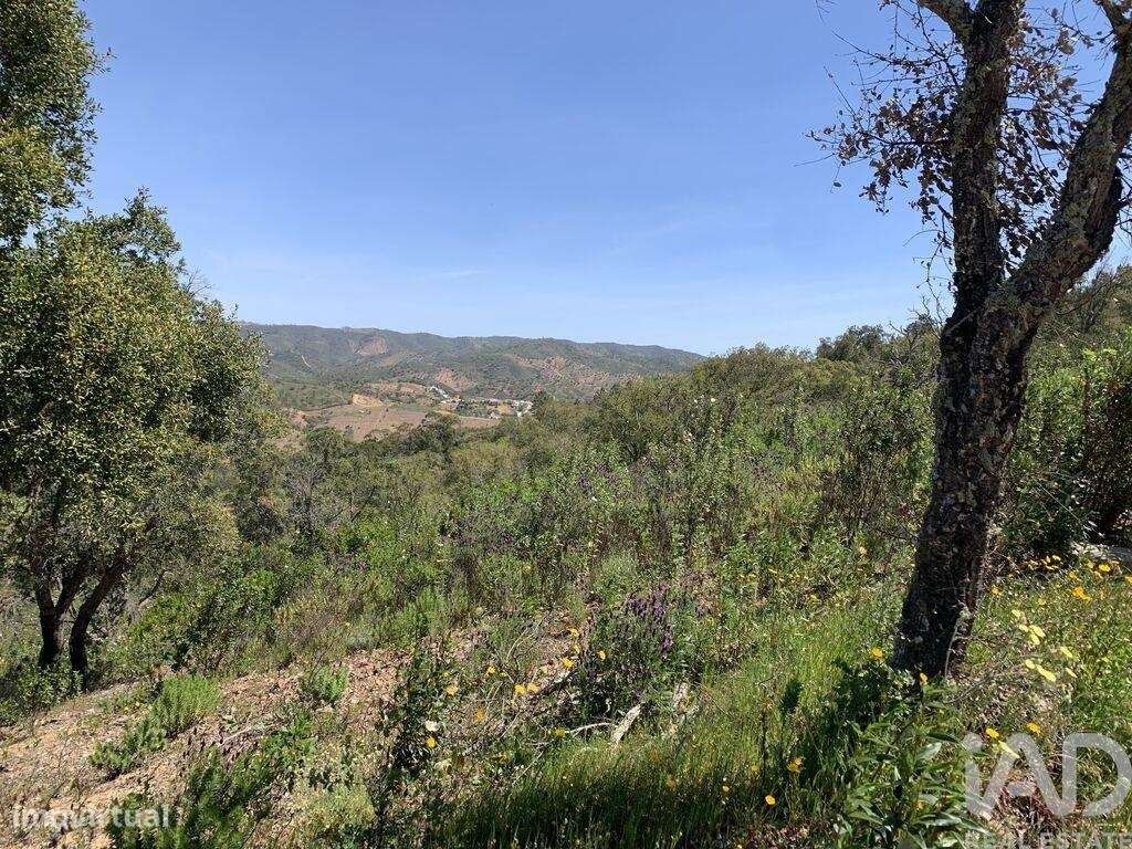 Terreno em Querença, Tôr e Benafim de 9960,00 m2 - Grande imagem: 2/7