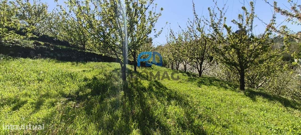 Quinta do Valado- Excelente Investimento em Resende-18