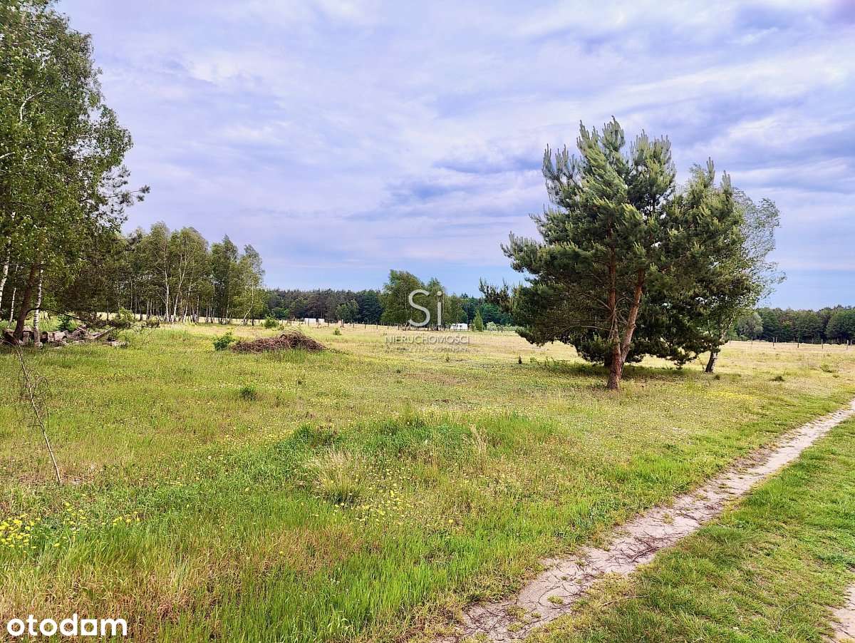 Piękna działka w Grzepnicy | warunki zabudowy | 3000 m2 | Las - Pełny obrazek: 5/9