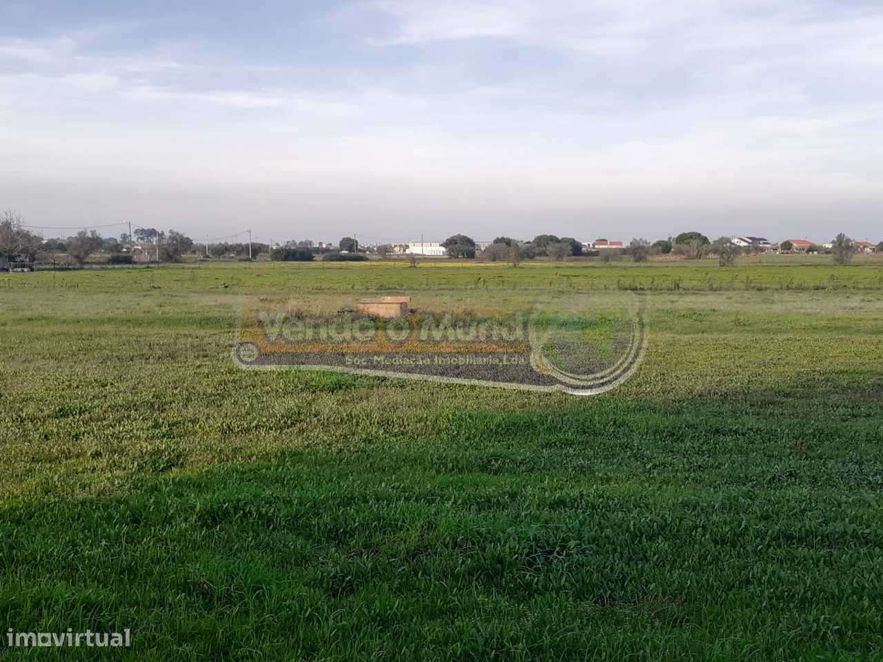 Terreno em Benavente (B501) - Grande imagem: 2/6