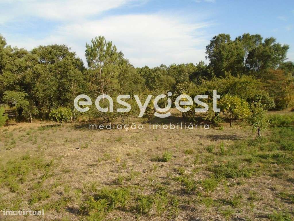 Terreno com 1280m2 para construção na Ferraria de Pataias - Grande imagem: 2/18